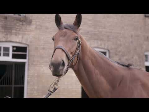 Get to know MyRacehorse Trainer Harry Eustace