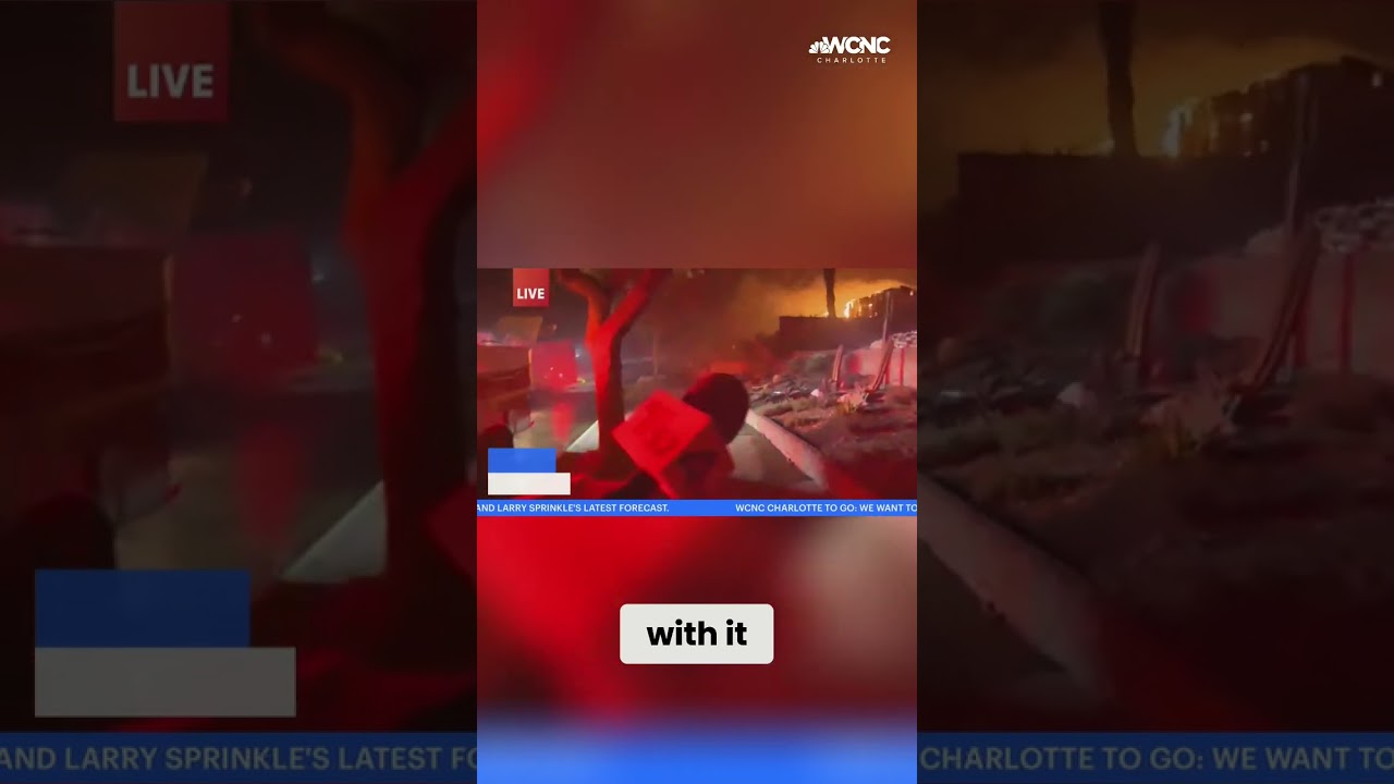 Brave firefighters battle Pacific Palisades fires