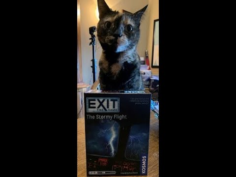 Table for Two Show Review!