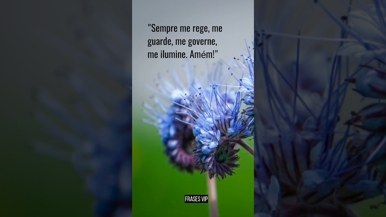 Sempre me rege, me guarde, me governe, me ilumine. Amém!