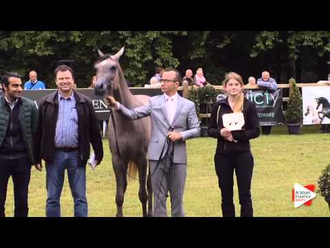 3rd place N.141 ABHA YALTA - Bruges 2015 International - Junior Fillies Championship (Class 120)