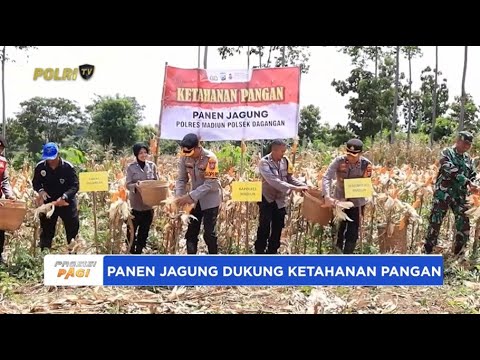 POLRES MADIUN DUKUNG KETAHANAN PANGAN LEWAT PANEN JAGUNG