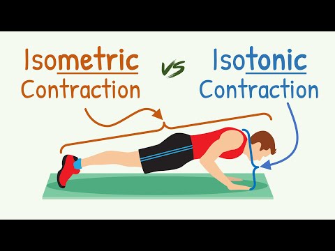 Isometric Contraction vs Isotonic Contraction || Physiology with Animation