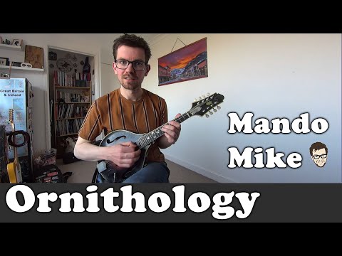 Ornithology - The Chords - Mandolin Lesson (Advanced)