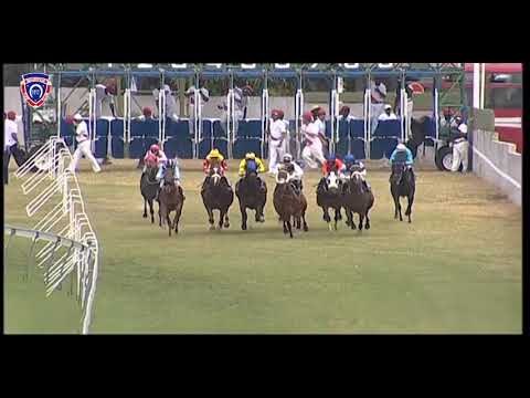 RM33 R4 | Arctic Flyer | J.Allyhosain | SJ Stable 1st Win 2019