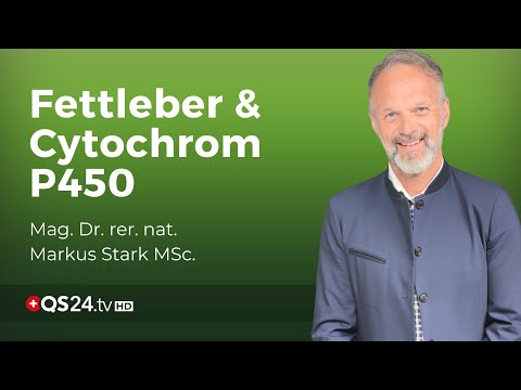 Die Fettleber und was sie über uns verrät | Mag. Dr. rer. nat. Markus Stark MSc | QS24