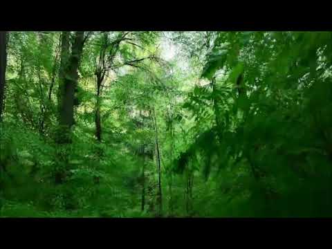 Man Of No Ego  Logical Elements  - Heal Others