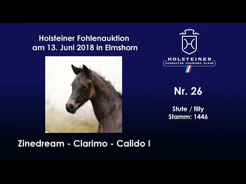 Holsteiner Fohlenauktion im Juni | Nr. 26 v. Zinedream - Clarimo