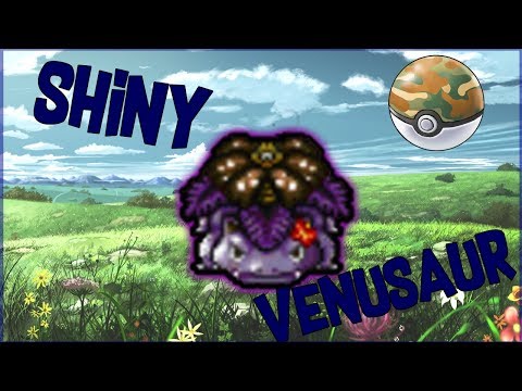 Fazendo Shiny Venusaur na SAFARIBALL (OLD)