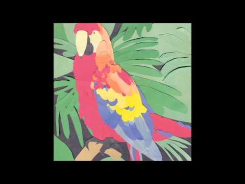 Algernon Cadwallader - Parrot Flies (FULL ALBUM)