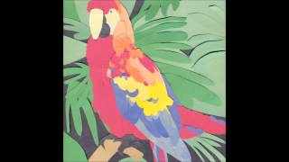 Algernon Cadwallader - Parrot Flies (FULL ALBUM)