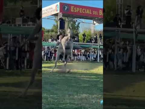 RAFA PRATULA Y EL DIFERENTE DE ALTHABE. ARROYO CABRAL CORDOBA 25/10/26 #horse  #jinetes #jineteadas