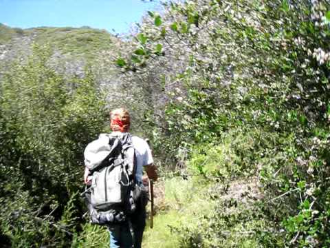 Discovery of New Eden