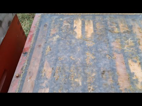 Prvi vizuelni pregled pčelinjih zajednica-sve preživjele 2026 god.