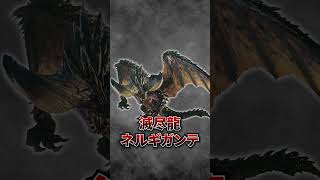【解説】MHWildsで結局登場しなかったモンスター２選 #モンハン #モンハンワイルズ #モンハンWilds #まーぼー #解説