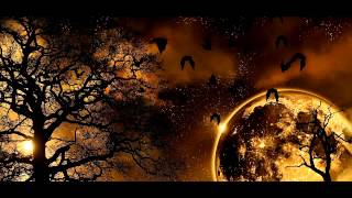 Jean Michel Jarre: First rendez vous