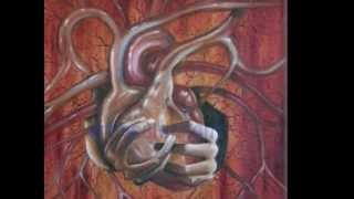 Mi lecho está tendido.Instrumental. Silvio Rodríguez