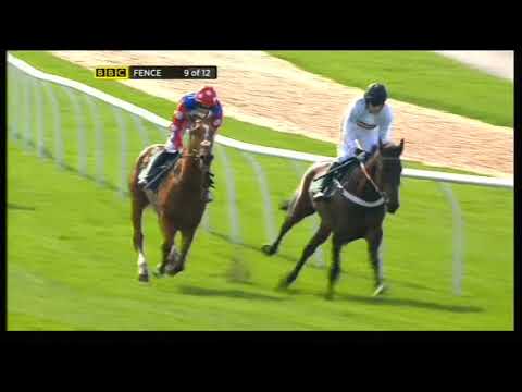 2011 John Smith's Maghull Novices' Chase - Aintree meeting