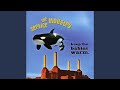 Seaworld