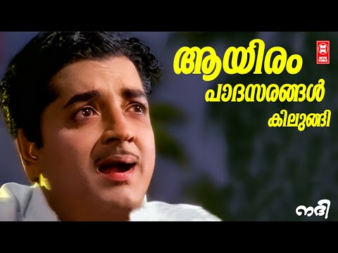 Aayiram Padasarangal | Nadhi(1969) | G Devarajan | K.J Yesudas | Prem Nazeer | Old is Gold