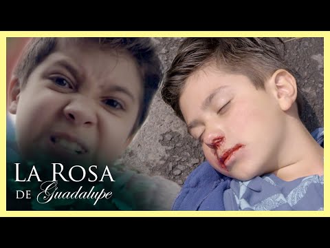 Bernie se vuelve agresivo por culpa de sus hermanos | La Rosa de Guadalupe 1/4 | Un mundo de fieras