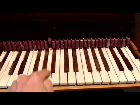 Wonderful chromatic toy piano Michelsonne Paris 37 keys - see video image 5