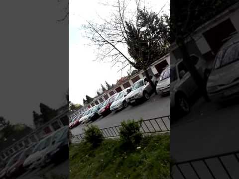 S mojou kamoskou Ninkou