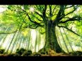 Preview Of 17 Part Series Messiah And Apostle Paul