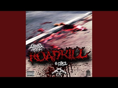 roadkill