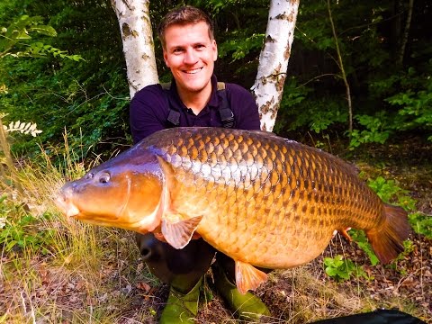 Carp fishing - Boilie production: It can also be easy and inexpensive - square boilies