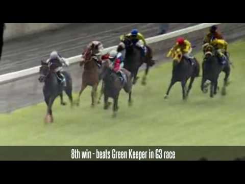 Casey's War - The 13 Strikes