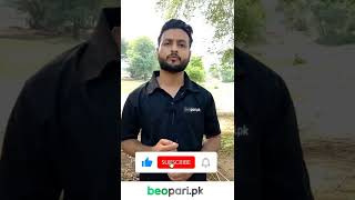 Rana Saleem Goat Farm | Beopari.pk | Buy and Sell Animals Easily