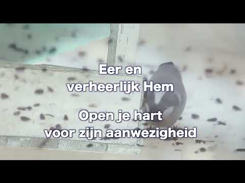 OPwekking 604 Kom en laat ons prijzen