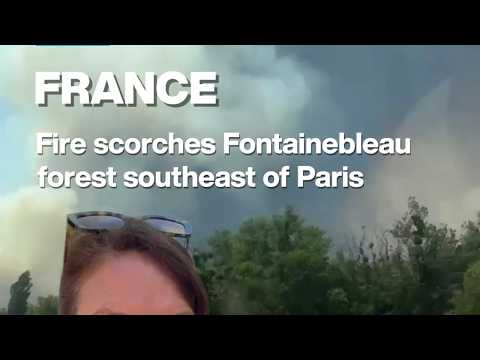 France: Fire scorches Fontainebleau forest southeast of Paris