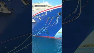it's magic #cruisedestination #carnivalcruiseline #travel #viral #turksandcaicosisland