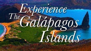 Experience The Galapagos Islands / Best of Galapagos