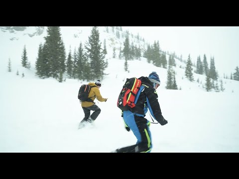 [EDGE]ucation - Avoid Rogue Signals in an Avalanche Rescue
