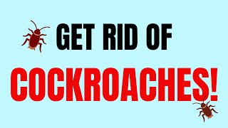 Kill Cockroaches Instantly without compromising your Health & Environment!