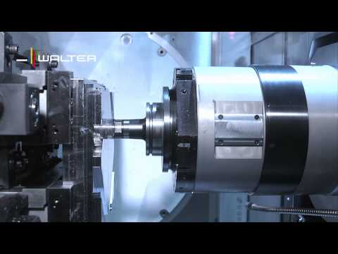 Walter Tools Milling F5138 F5241 Walter BLAXX Tangential Porcupine Cutter