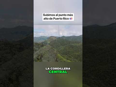 Subimos al Cerro Punta a 4,390 pies de Altura #puertorico #cafe #newyork #florida  #diaspora