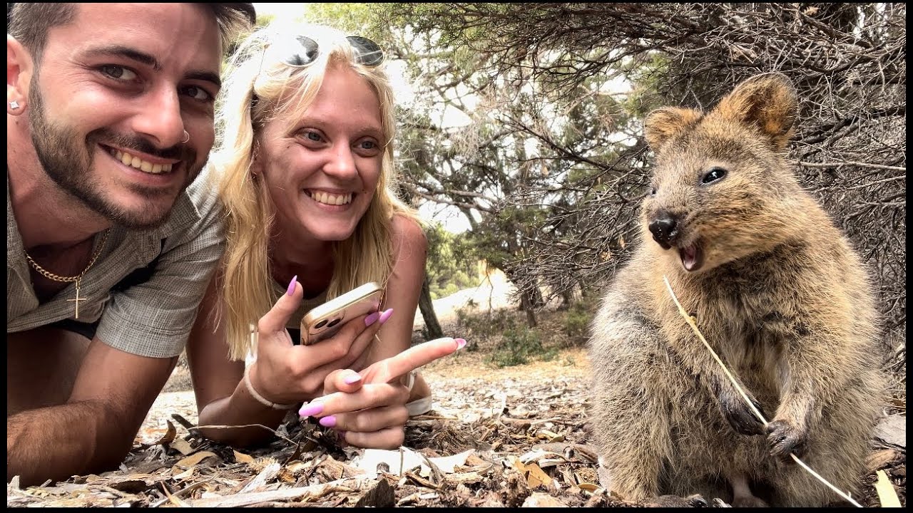 The Mission To Get The Perfect Selfie With A Quokka On Rottnest Island