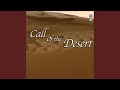 Where Deserts Meet