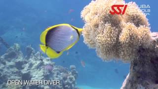 Blueforce Diving Nuweiba/SSI Open Water Diver