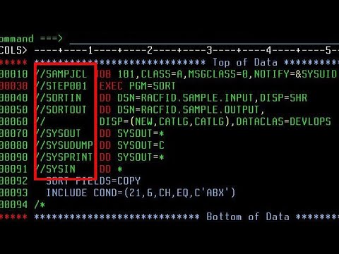 Job card parameters in a JCL. 