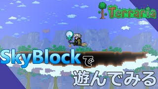 【テラリア】アプデ来たぞ。SkyBlockやるぞ【Terraria】【配信】