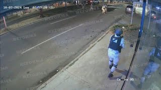 Download lagu Así fue el 'mátalo, mátalo' en Culiacán mp3