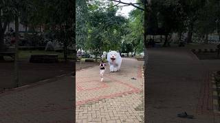 Download lagu Alika main ditaman malah digigit can macanan mp3 Download lagu Alika main ditaman malah digigit can macanan mp3