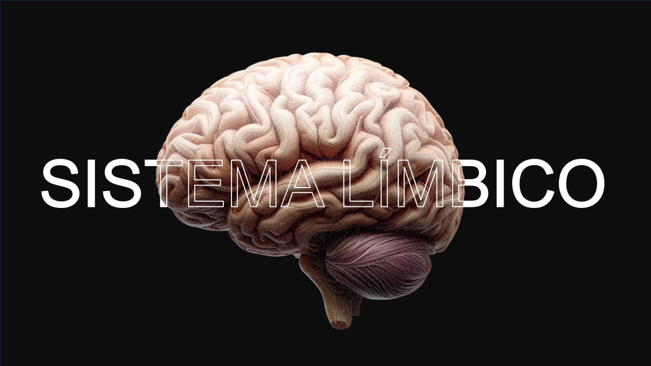 Sistema límbico