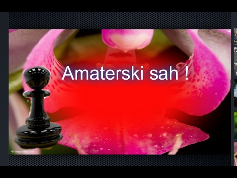 Amaterski šah   -  Filip Ćorluka # 1001