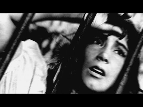 The Cranes Are Flying... in movement